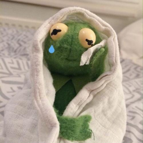 สมาชิกหมายเลข 4997099