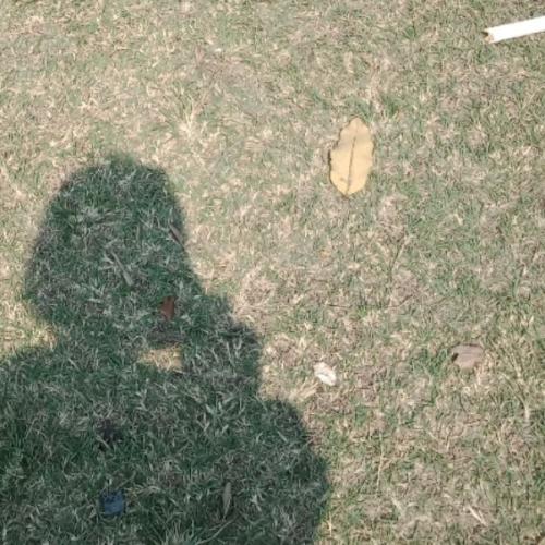 สมาชิกหมายเลข 5881169