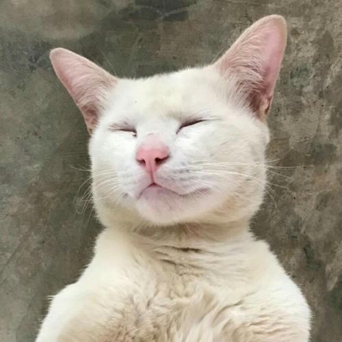 สมาชิกหมายเลข 5893230