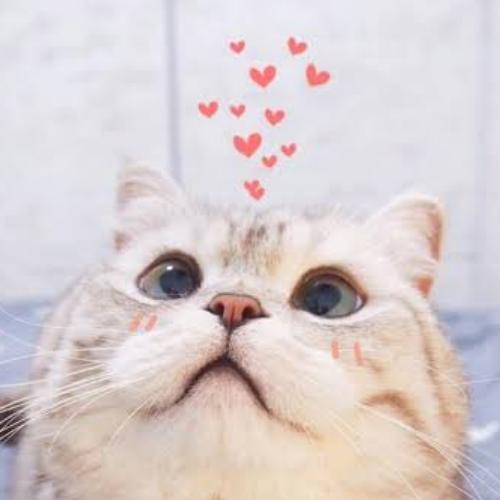 สมาชิกหมายเลข 5893719