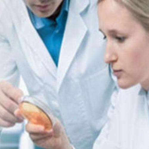 สมาชิกหมายเลข 6493853