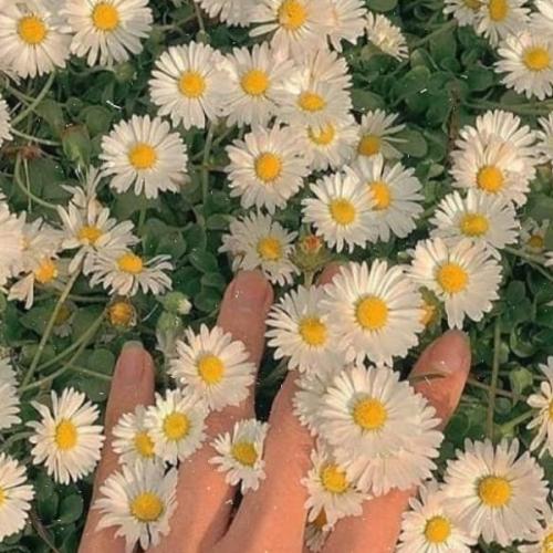 สมาชิกหมายเลข 4502130