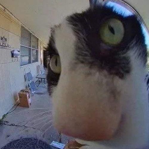 สมาชิกหมายเลข 7203211