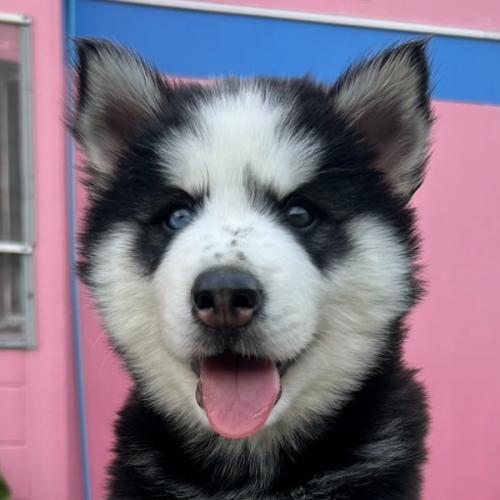 สมาชิกหมายเลข 8009547