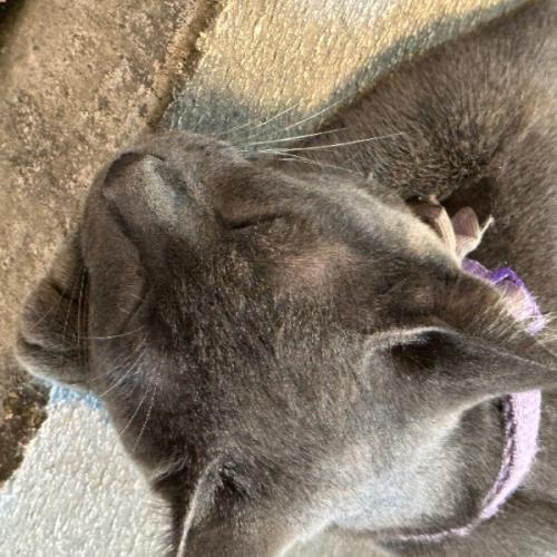 สมาชิกหมายเลข 9035856