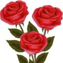 สมาชิกหมายเลข 3786932