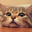 สมาชิกหมายเลข 3787277