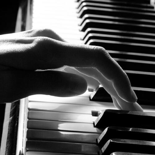 สมาชิกหมายเลข 4251111