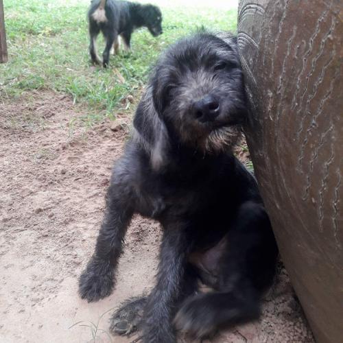 สมาชิกหมายเลข 4615471