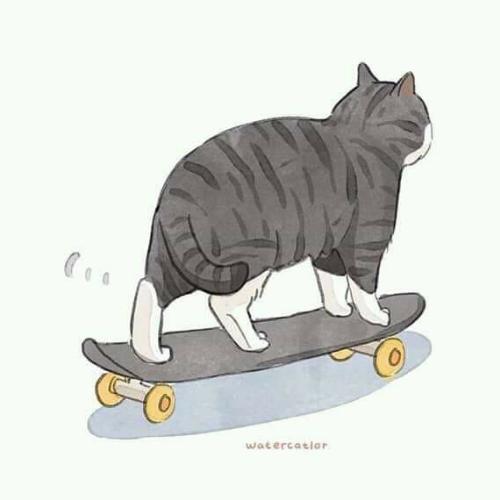 สมาชิกหมายเลข 5383653