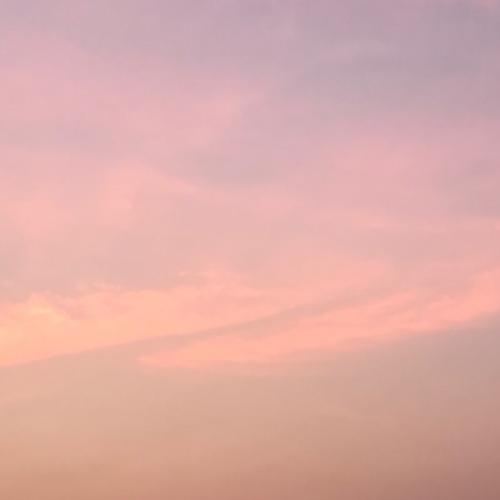 สมาชิกหมายเลข 5216917