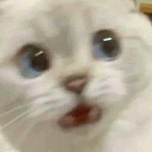 สมาชิกหมายเลข 6494586