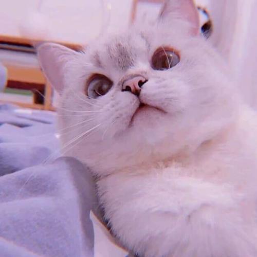 สมาชิกหมายเลข 6494814