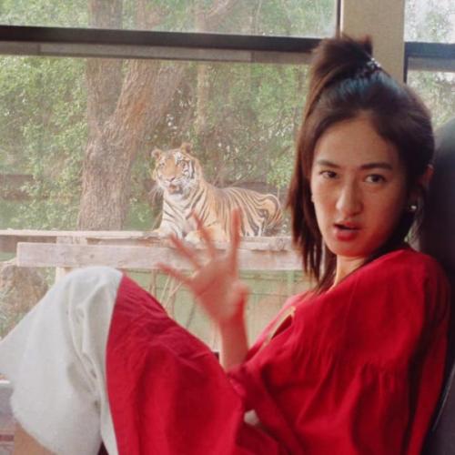 สมาชิกหมายเลข 1158329