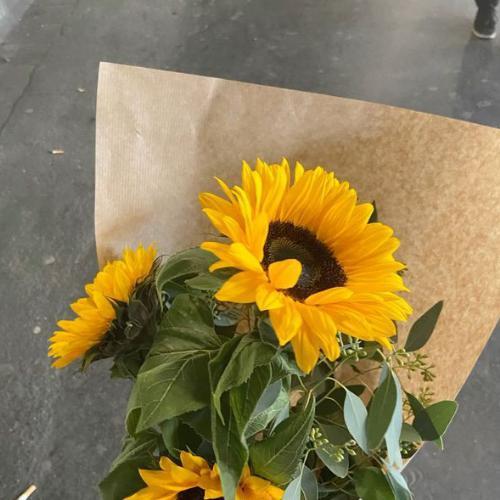 สมาชิกหมายเลข 6022913