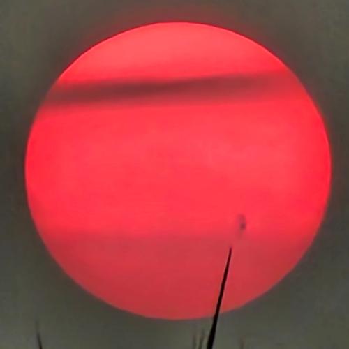 สมาชิกหมายเลข 6131484