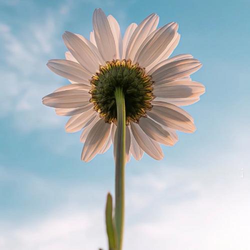 สมาชิกหมายเลข 9037042