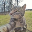 สมาชิกหมายเลข 4251909