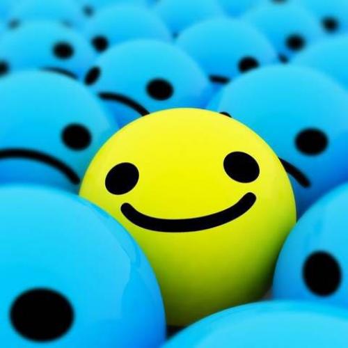 สมาชิกหมายเลข 4252058