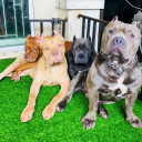 สมาชิกหมายเลข 4638368