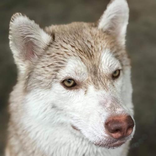 สมาชิกหมายเลข 3423922