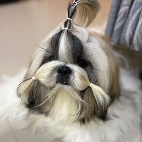 สมาชิกหมายเลข 6495168