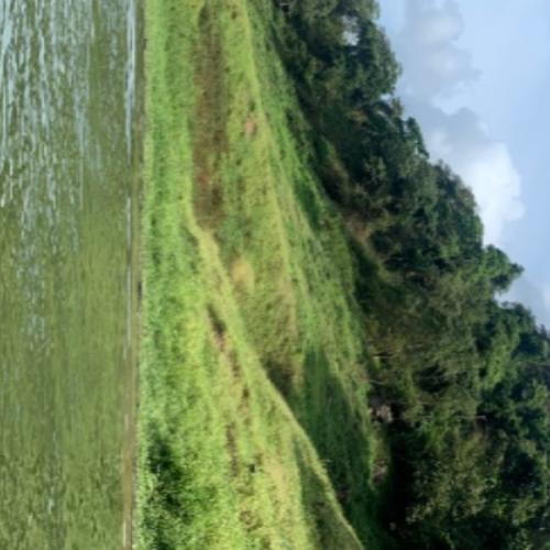 สมาชิกหมายเลข 1836803