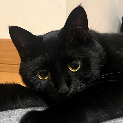 สมาชิกหมายเลข 5506002