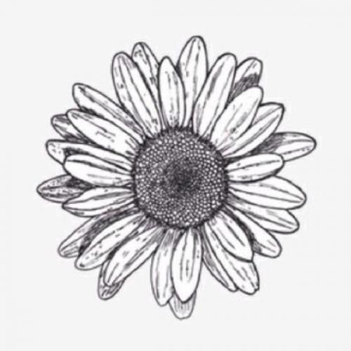 สมาชิกหมายเลข 1742204