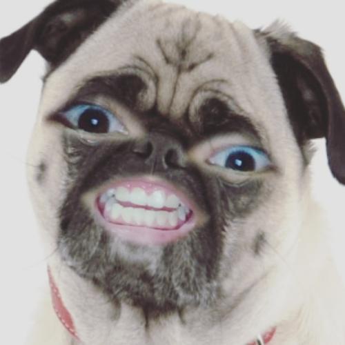 สมาชิกหมายเลข 5186808