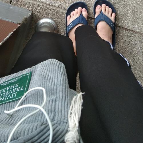 สมาชิกหมายเลข 5278133