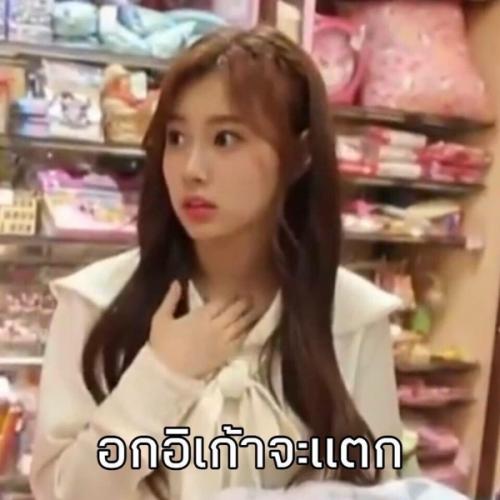 สมาชิกหมายเลข 5305603