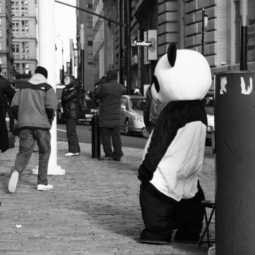 สมาชิกหมายเลข 5392383