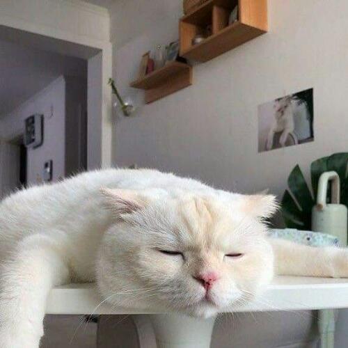 สมาชิกหมายเลข 5392385