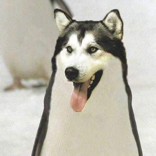 สมาชิกหมายเลข 5392551