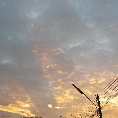 สมาชิกหมายเลข 5392594