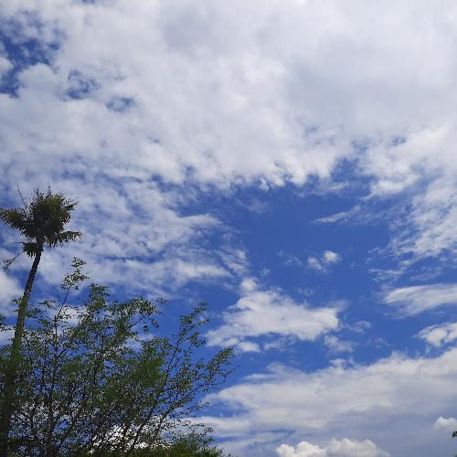 สมาชิกหมายเลข 4539278