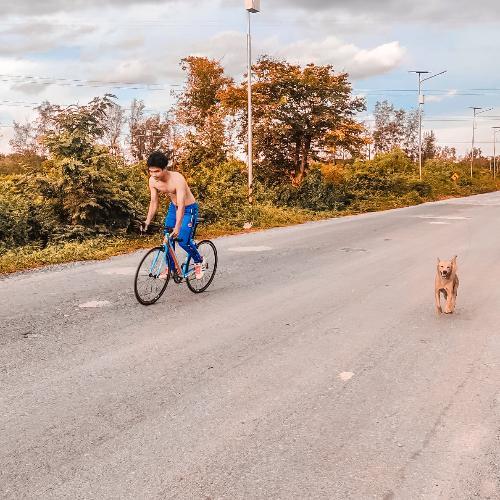 สมาชิกหมายเลข 3749432