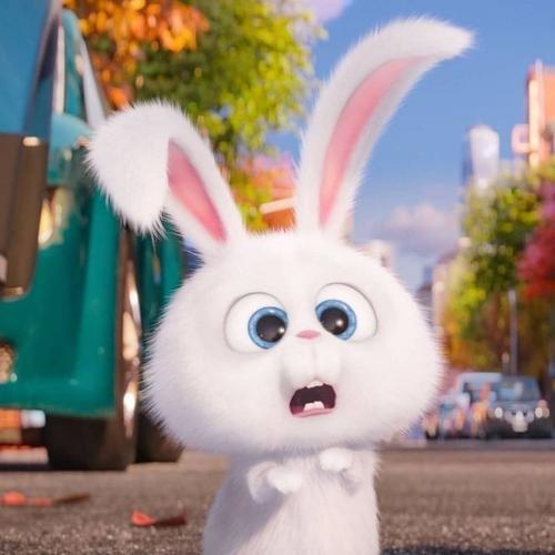 สมาชิกหมายเลข 6495774