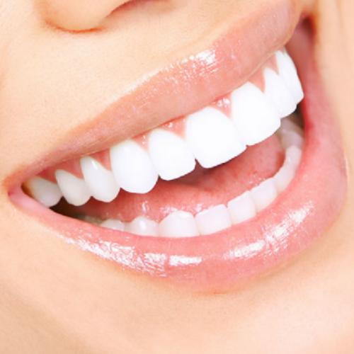 สมาชิกหมายเลข 7205330