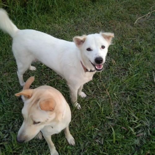 สมาชิกหมายเลข 8004896