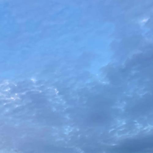 สมาชิกหมายเลข 9038781