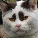 สมาชิกหมายเลข 4252751