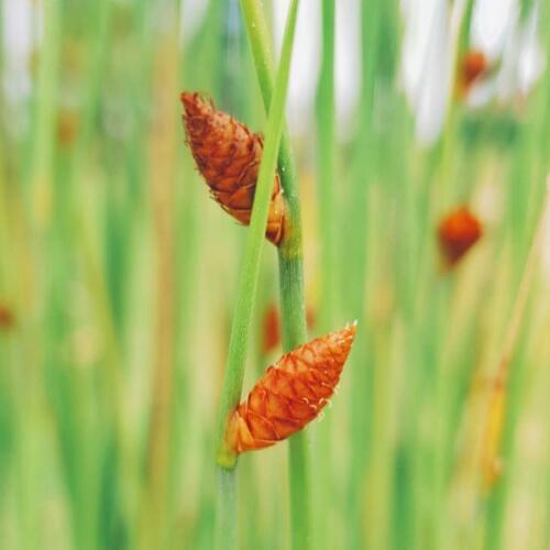 สมาชิกหมายเลข 3415242