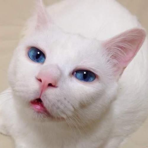 สมาชิกหมายเลข 5894815