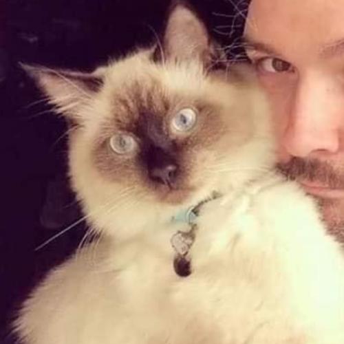 สมาชิกหมายเลข 5895746