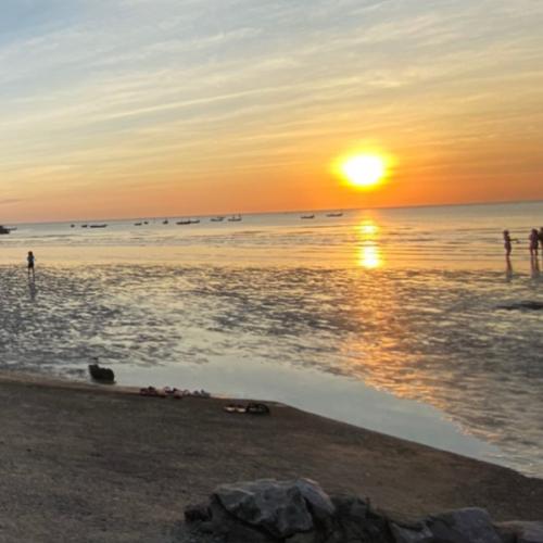 สมาชิกหมายเลข 5896028