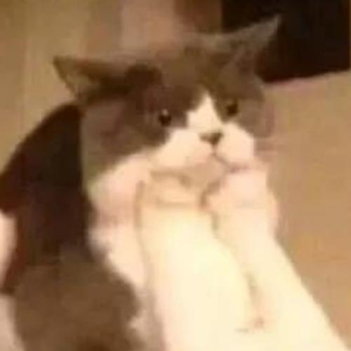 สมาชิกหมายเลข 4876813