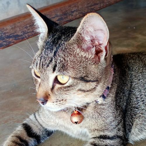 สมาชิกหมายเลข 5097150