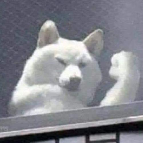 สมาชิกหมายเลข 1091251